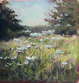 Fleurs de carottes pastel sec